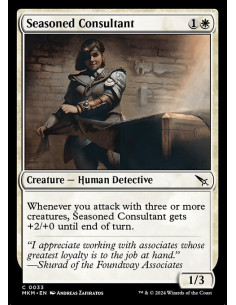 Seasoned Consultant - Foil