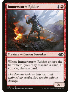 Immersturm Raider