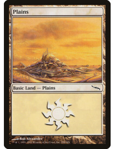 Plains