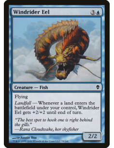 Windrider Eel - Foil