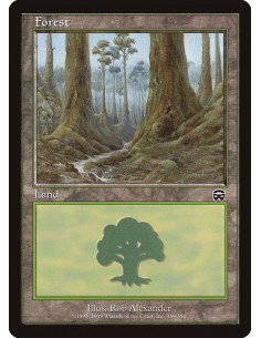 Forest - Foil