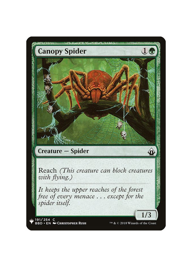 Canopy Spider