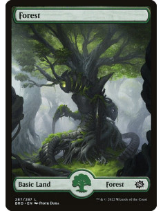 Forest