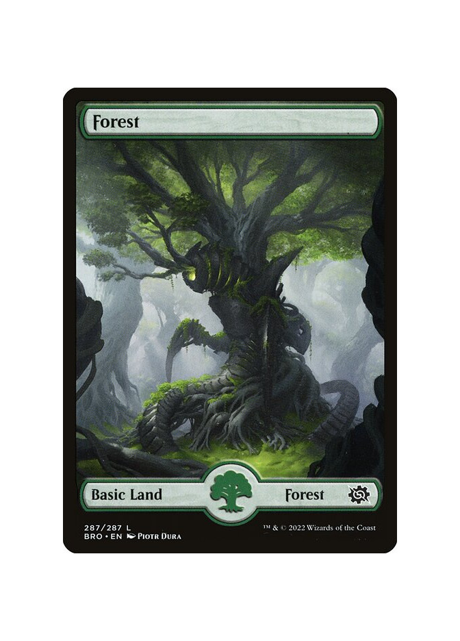 Forest - Foil