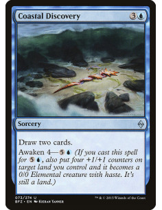 Coastal Discovery - Foil