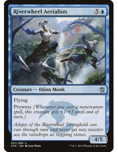 Riverwheel Aerialists