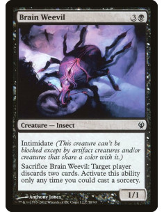 Brain Weevil