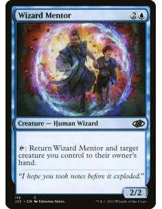 Wizard Mentor