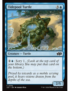 Tidepool Turtle