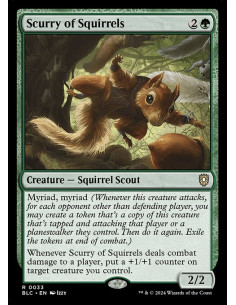 Scurry of Squirrels