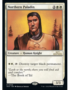 Northern Paladin