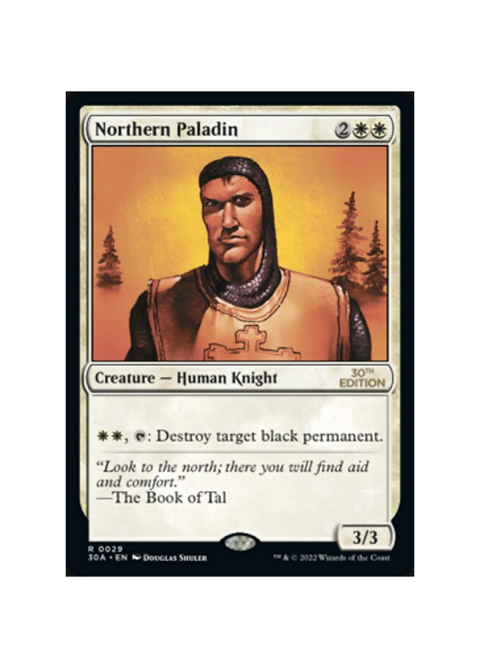 Northern Paladin