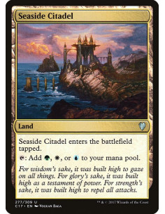 Seaside Citadel