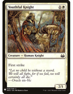 Youthful Knight