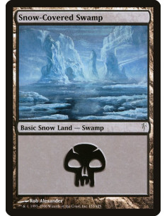 Snow-Covered Swamp