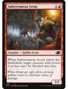 Subterranean Scout