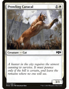 Prowling Caracal - Foil