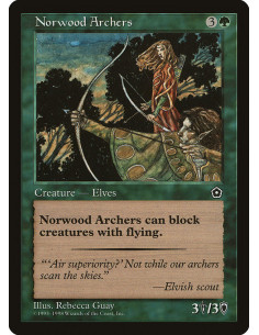 Norwood Archers