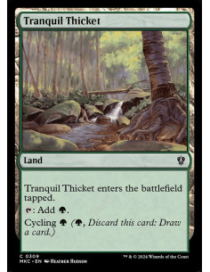Tranquil Thicket