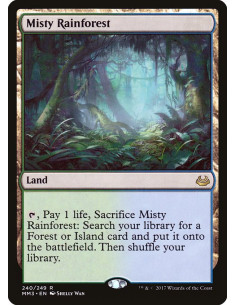 Misty Rainforest - Foil