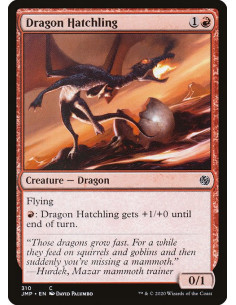 Dragon Hatchling