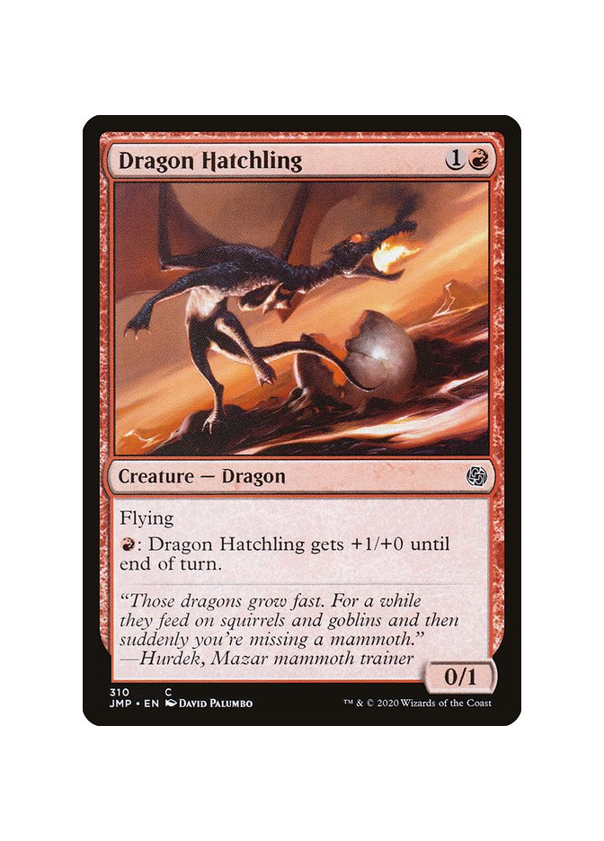 Dragon Hatchling