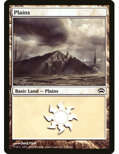 Plains