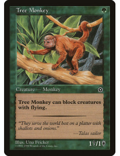 Tree Monkey