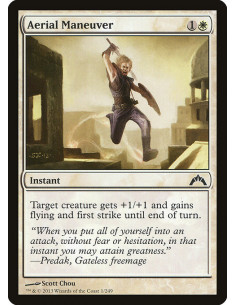 Aerial Maneuver - Foil