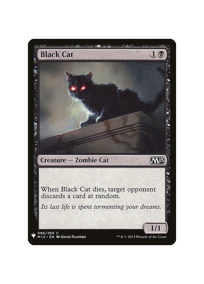 Black Cat