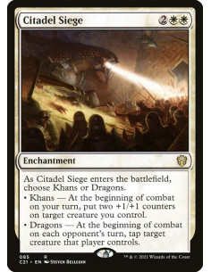 Citadel Siege