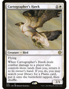 Cartographer's Hawk