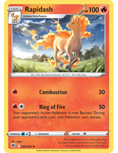 Rapidash