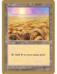 Plains