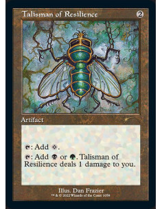 Talisman of Resilience
