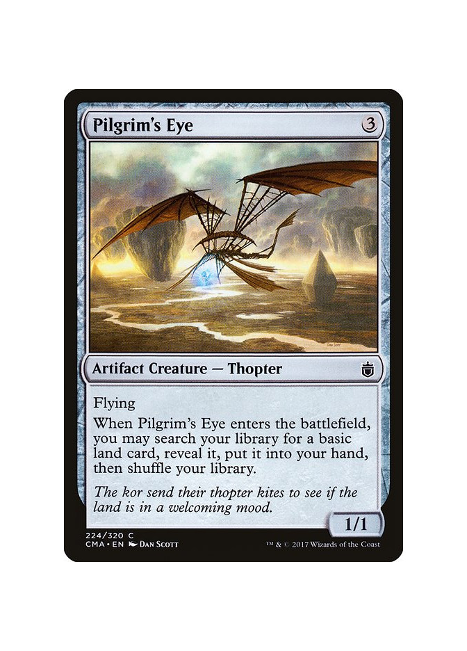 Pilgrim's Eye
