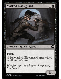 Masked Blackguard