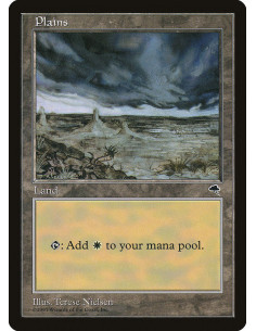 Plains
