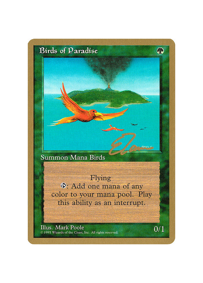 Birds of Paradise