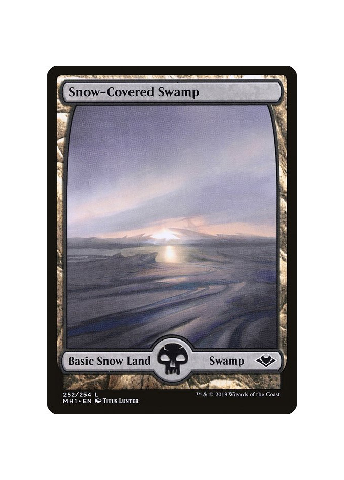 Snow-Covered Swamp