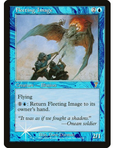 Fleeting Image - Foil
