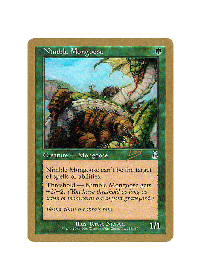 Nimble Mongoose