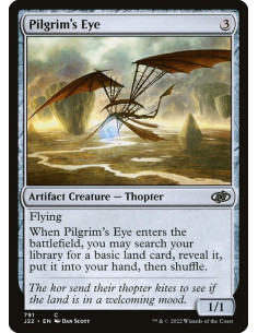 Pilgrim's Eye