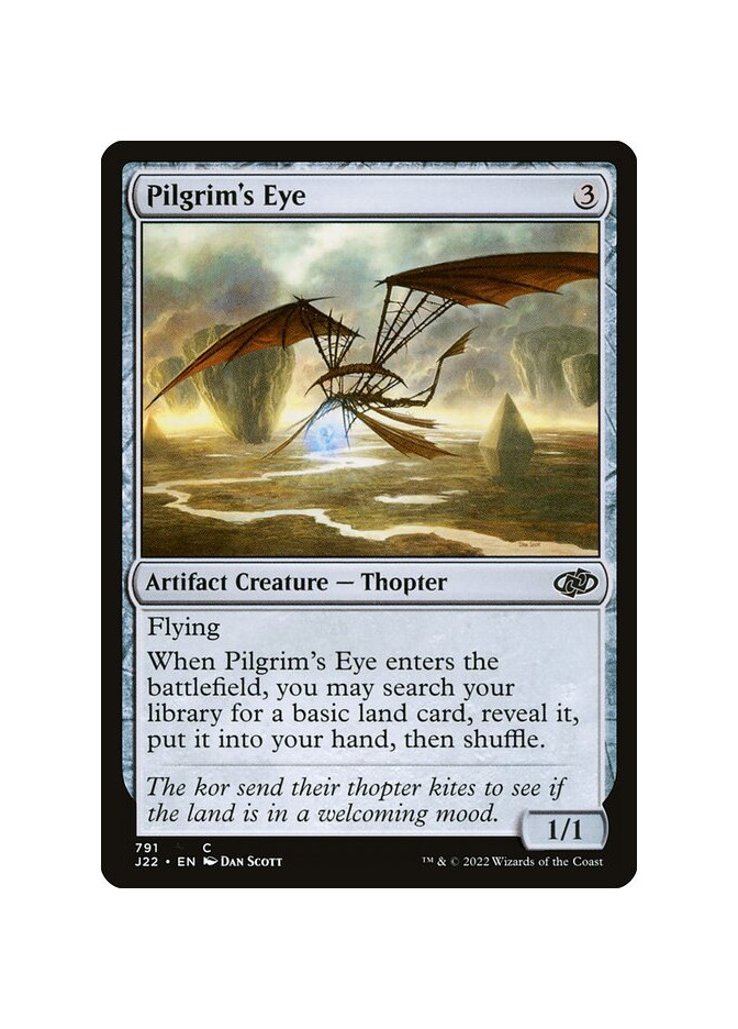 Pilgrim's Eye