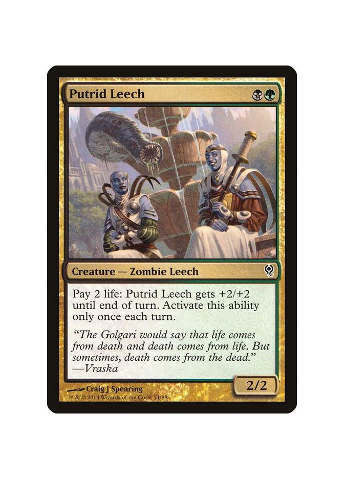 Putrid Leech