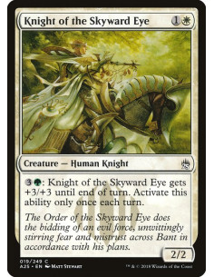 Knight of the Skyward Eye