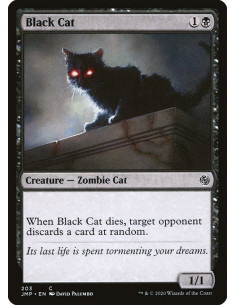 Black Cat