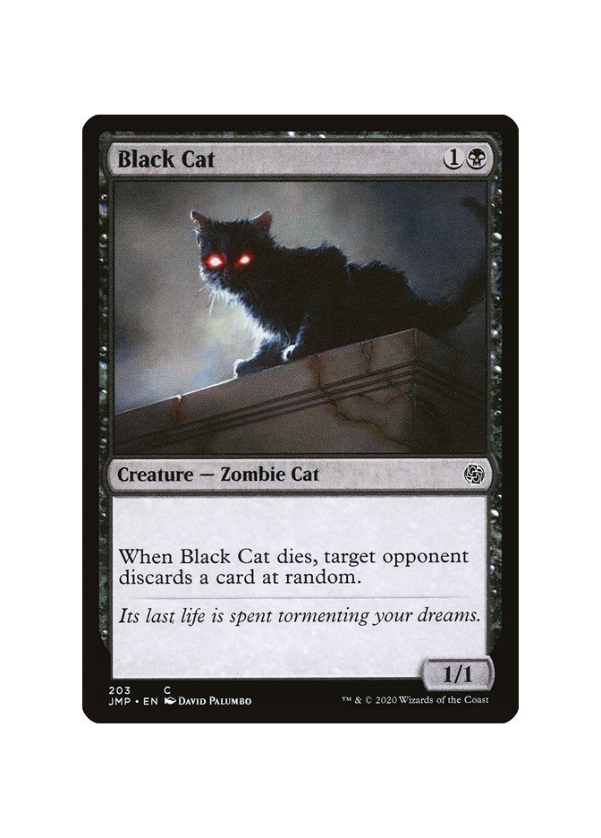 Black Cat