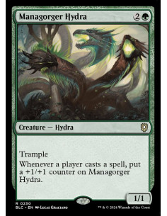 Managorger Hydra