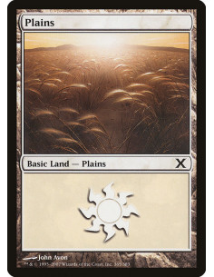 Plains - Foil